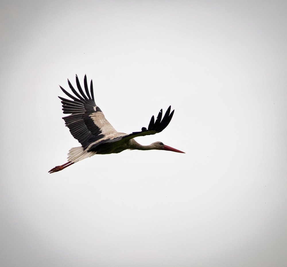 Photograph by Евгений Михеев