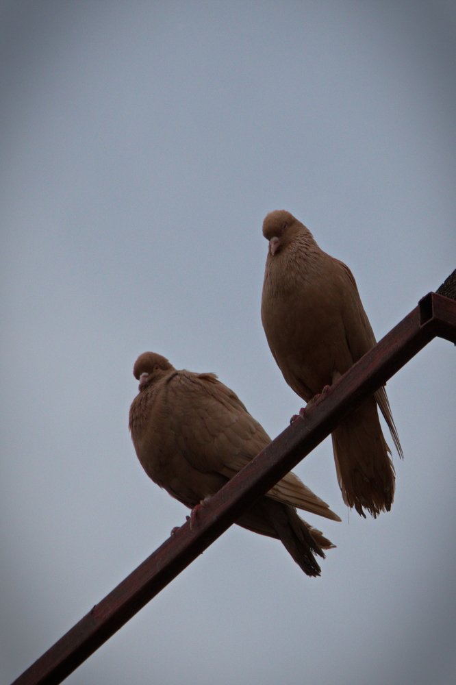 Photograph by Евгений Михеев