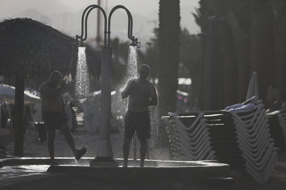 Photograph by Hillel Shatz