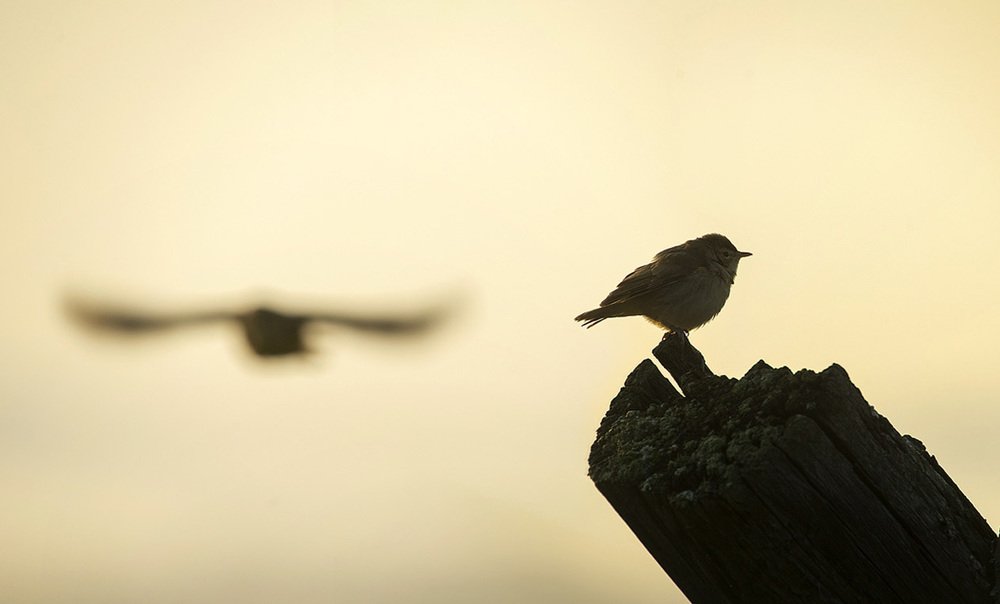 Photograph by Владимир Письмак