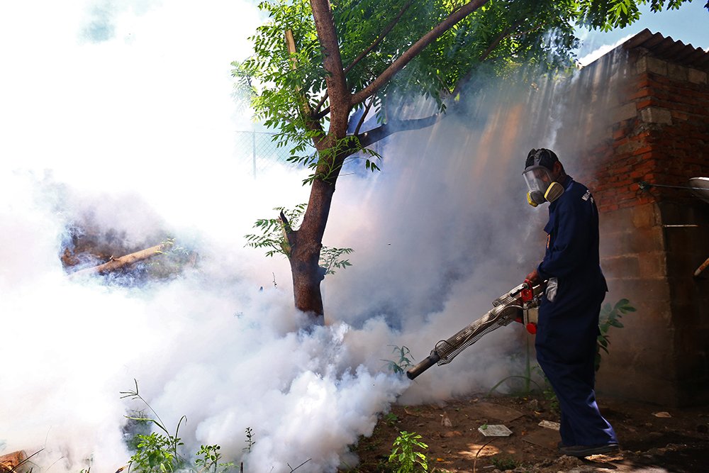 Photograph by Pradeep Dambarage