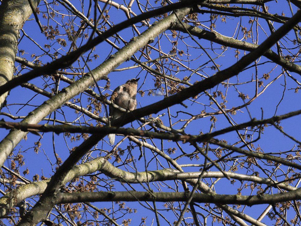 Photograph by Виктория Кузина