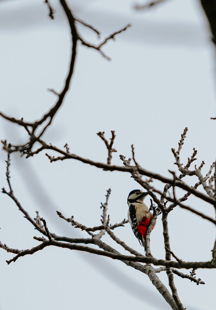 Photograph by Ernest Mazarekić