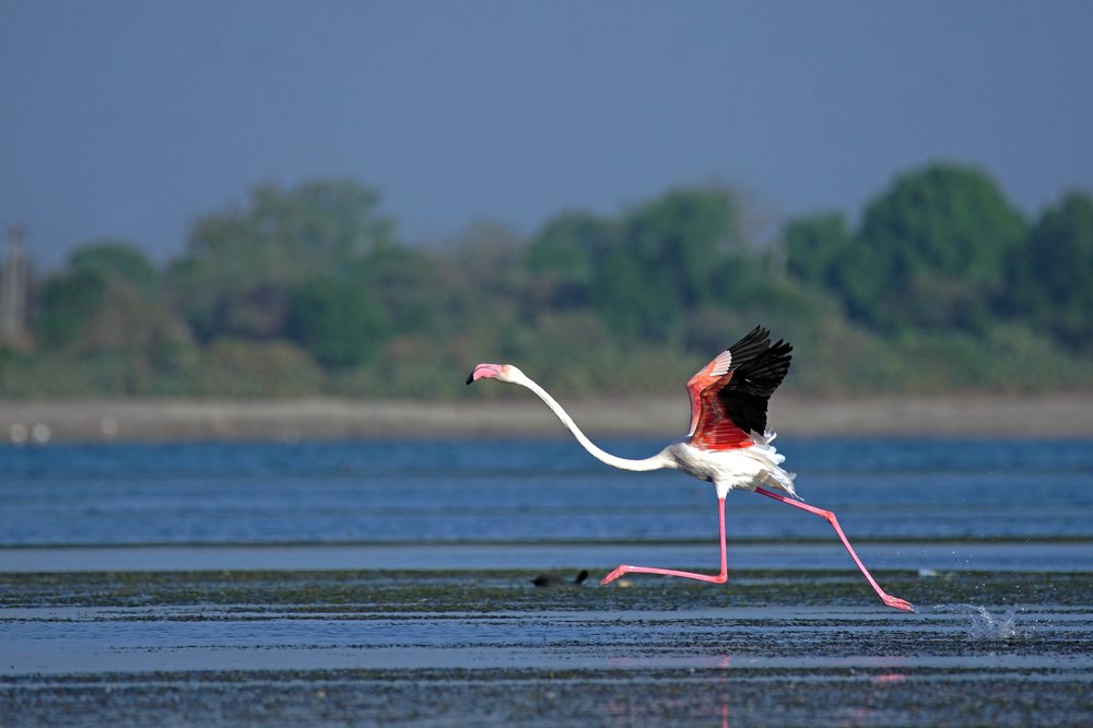 Photograph by Rasik Chavda