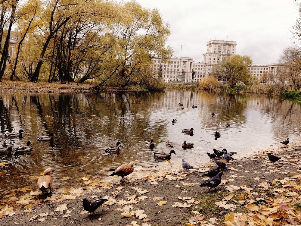 Photograph by Полина