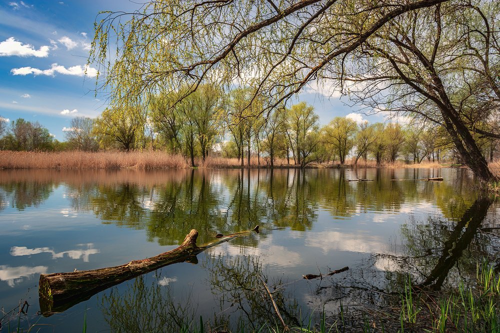 Photograph by Сергей Епишев