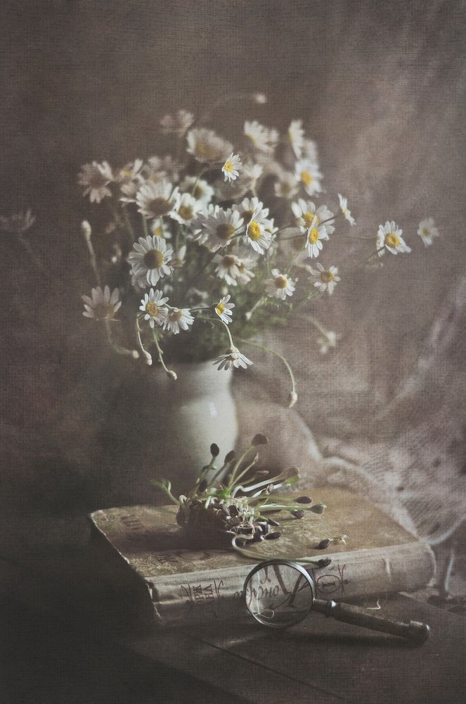 Photograph by Инна Буглак