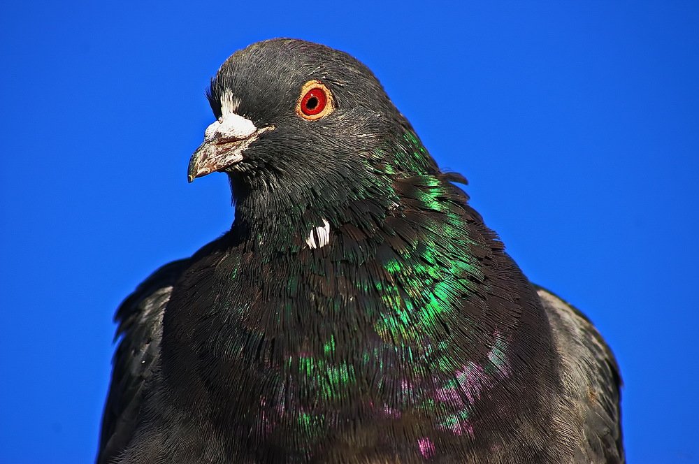 Photograph by Анатолий Святой