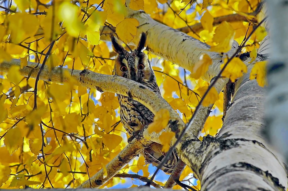 Photograph by Анатолий Святой