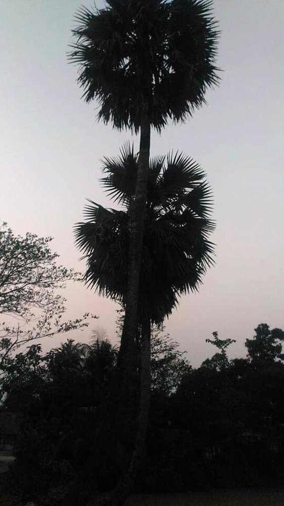 Photograph by Marzia Momtaz