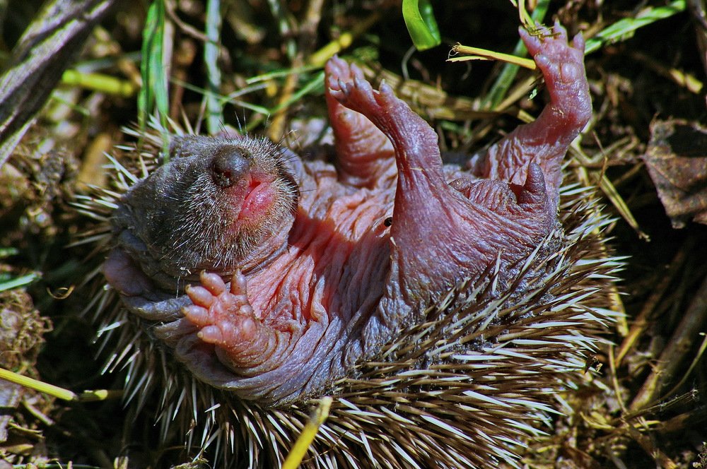 Photograph by Анатолий Святой