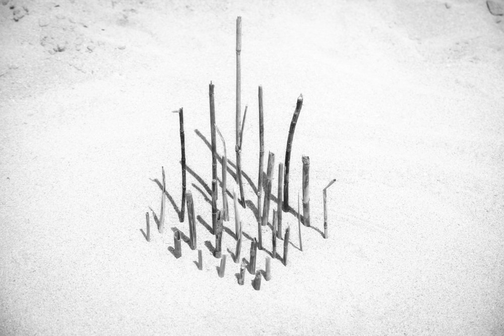 Photograph by Екатерина Оспанова