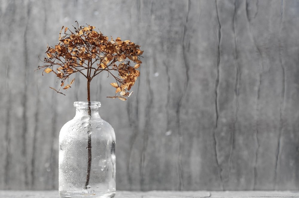 Фотография автора Мария Обидина