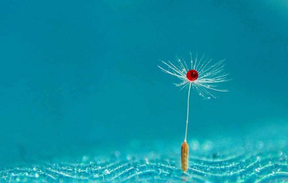 Минимализм