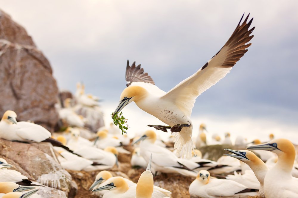 Photograph by Peter Krocka