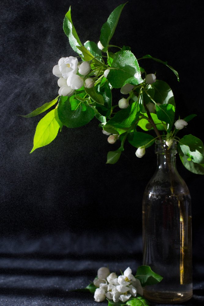 Photograph by Кирилл Бутлович