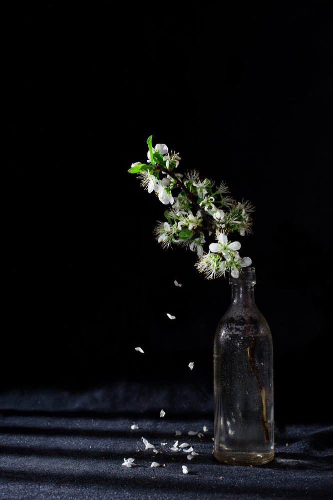 Photograph by Кирилл Бутлович