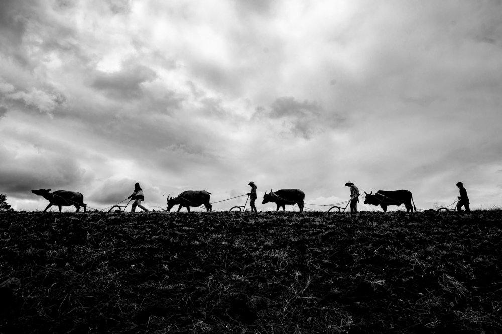 Synchronize of success