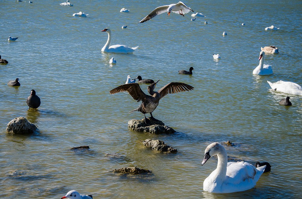 На просушке