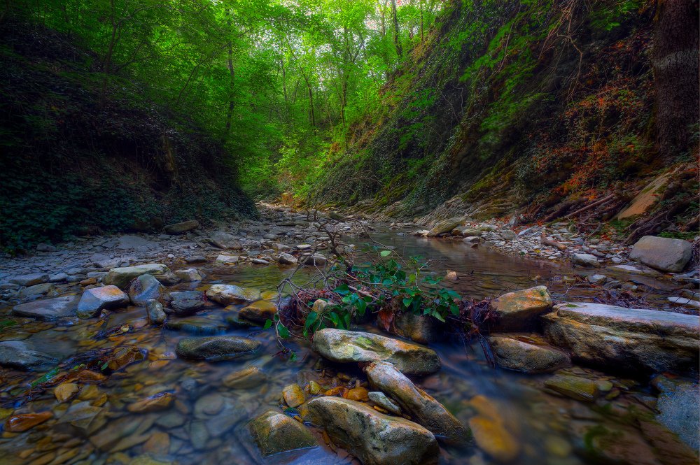 Photograph by Александр Аседач