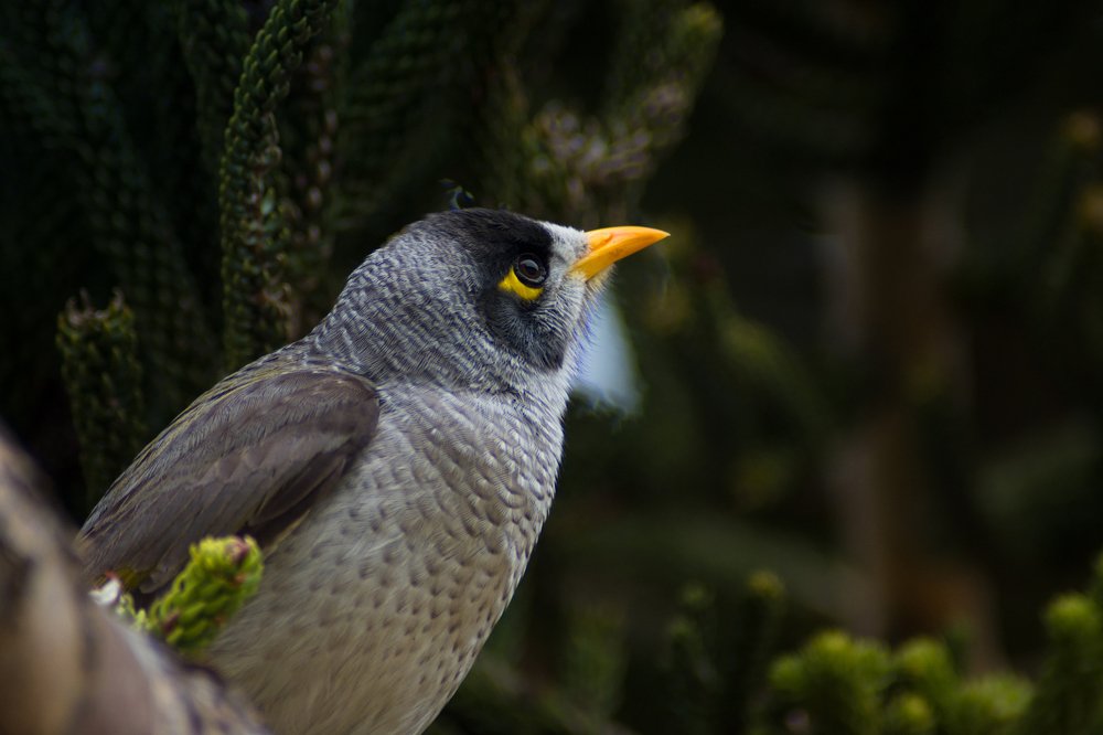 Photograph by Theo Crazzolara