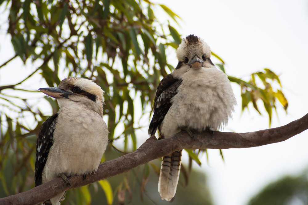 Photograph by Theo Crazzolara