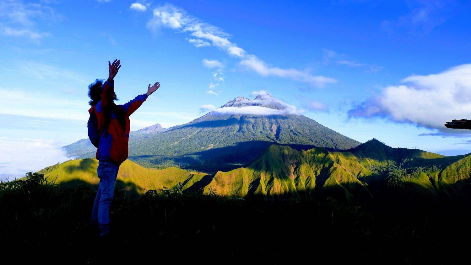 Pal Jepang Hill