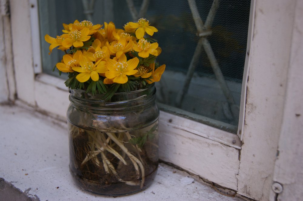 Photograph by Екатерина Брыксина