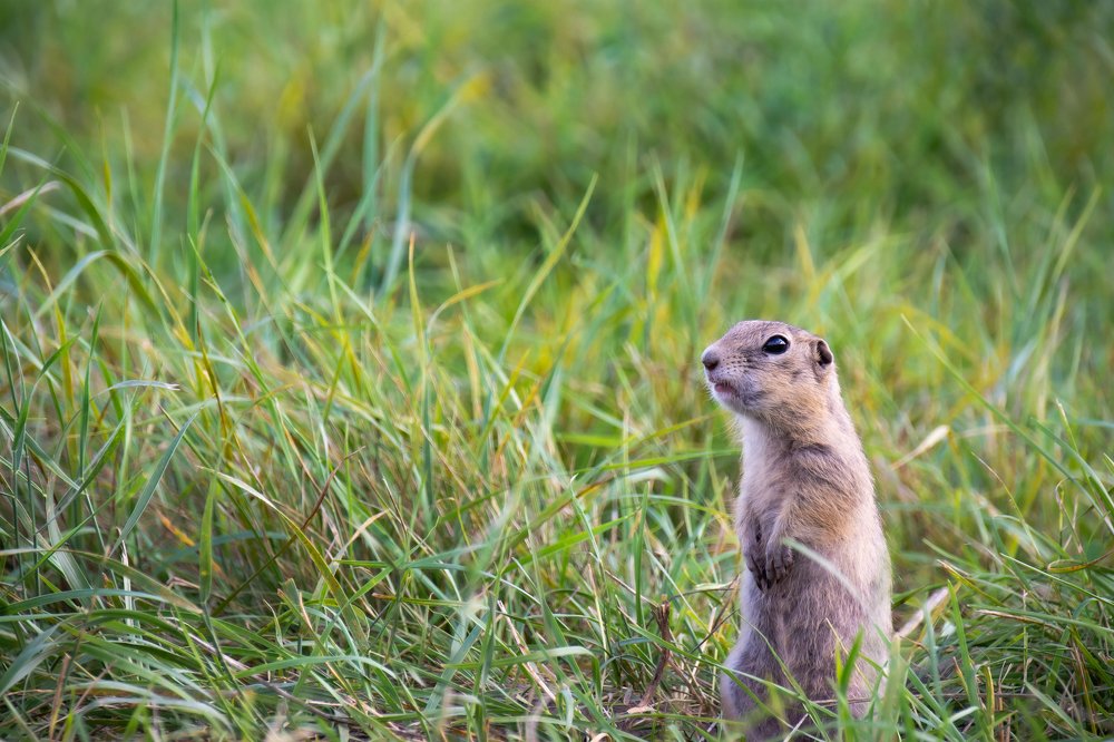 Photograph by Артем Козлов