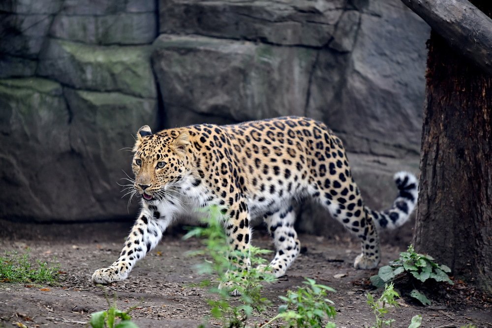 Photograph by Евгения Полянова