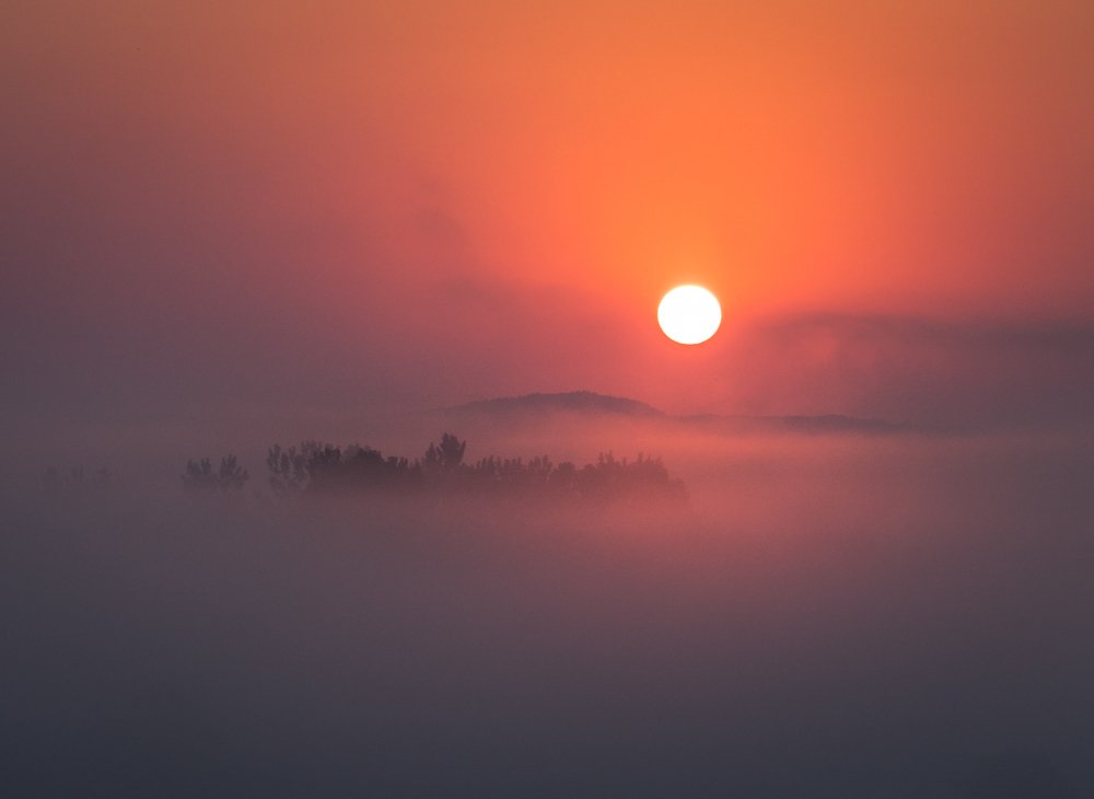 Sunrise above the fog