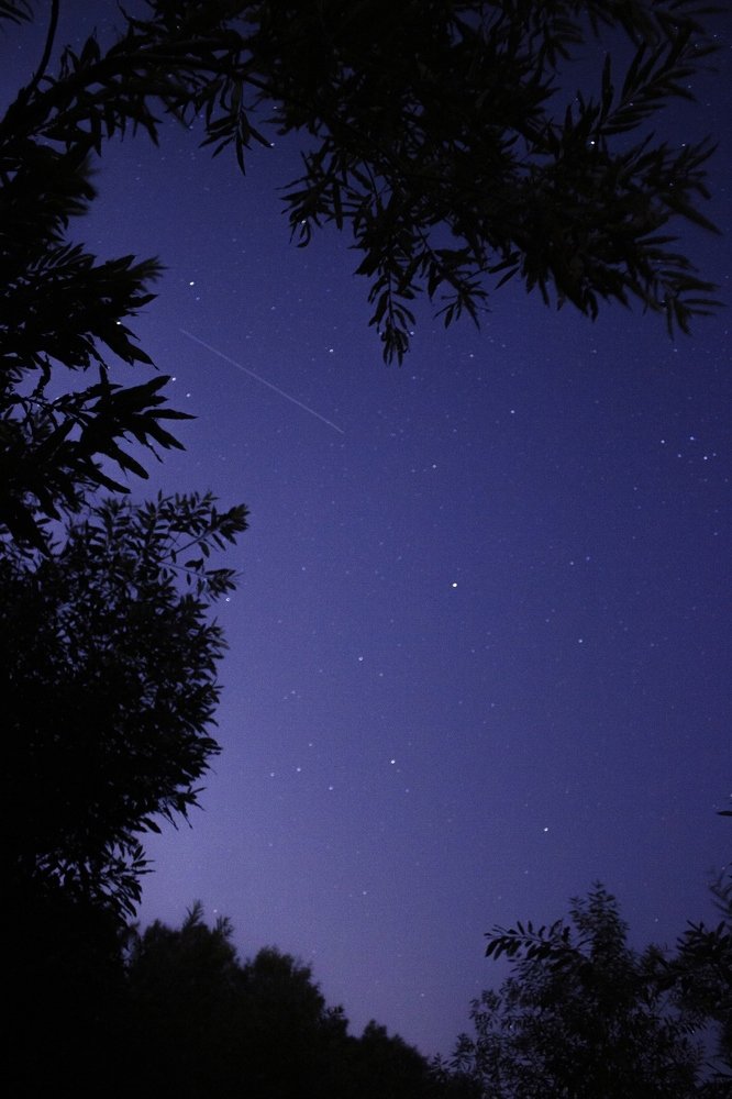 Photograph by Фистина Мария