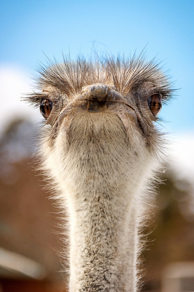 Photograph by Valentin Okulov