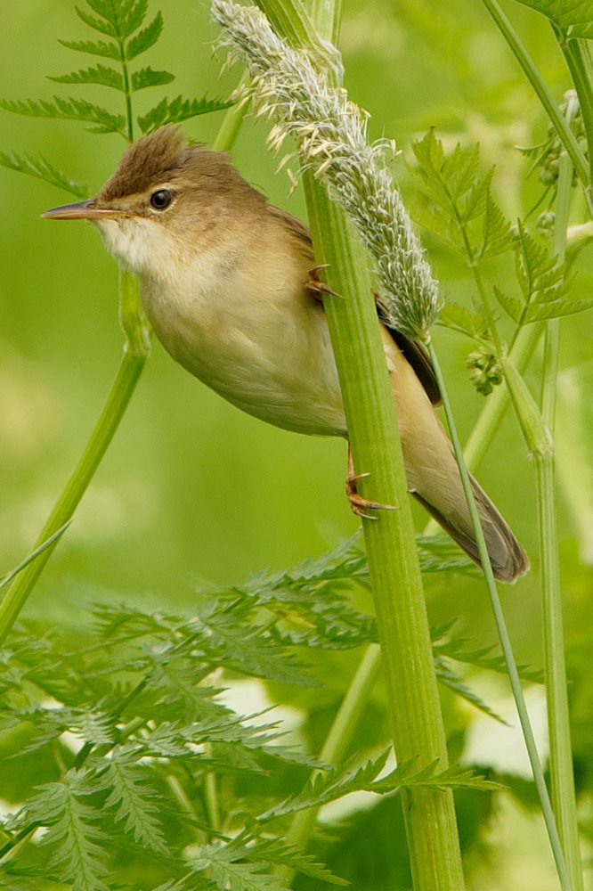 Photograph by Алексей Зенякин