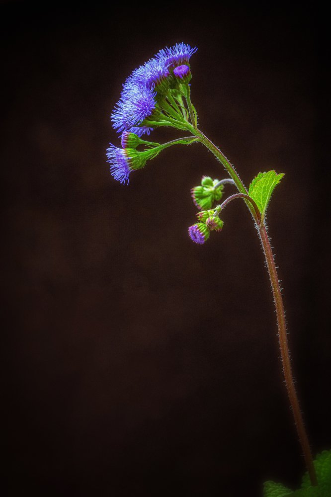 Photograph by Олег Зевиг