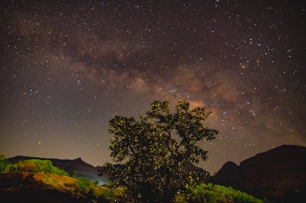 Photograph by Nitin Baste