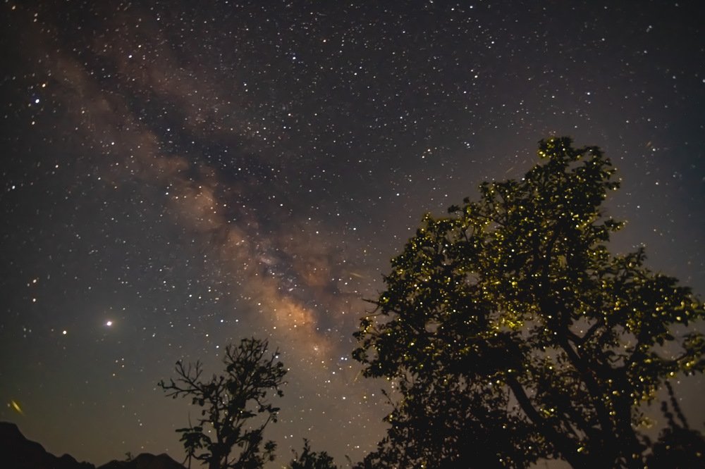 Photograph by Nitin Baste