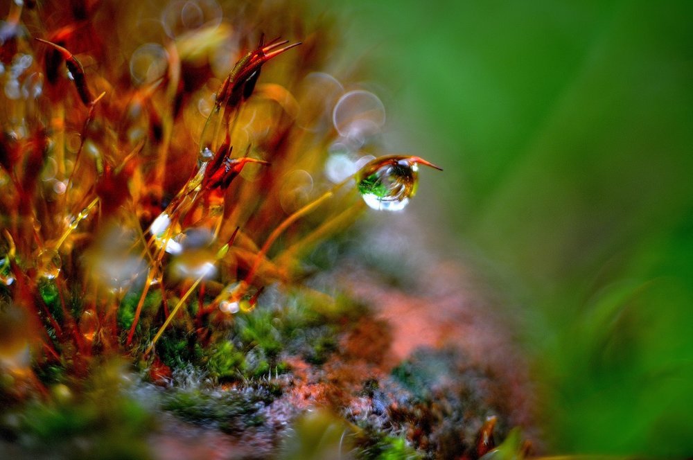 Иные миры. (Other worlds.)