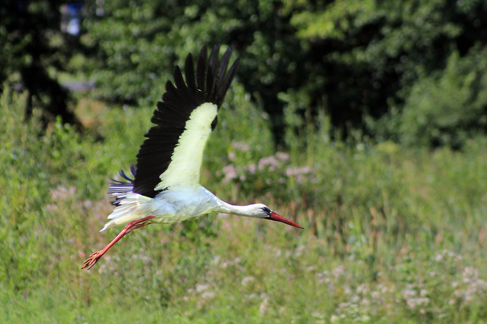 Photograph by Дмитрий Потапов