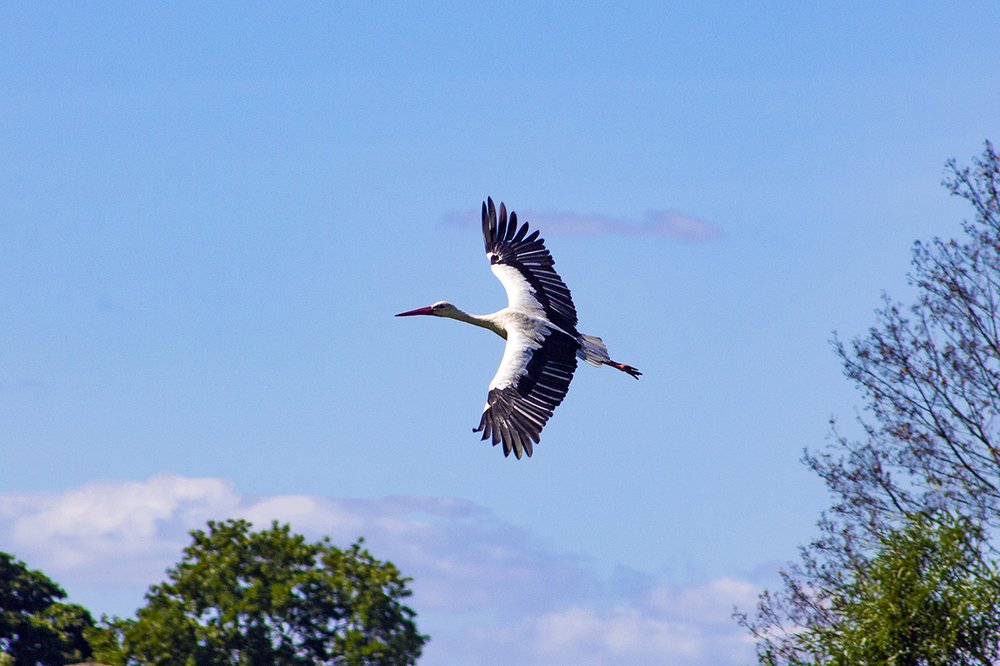 Photograph by Дмитрий Потапов