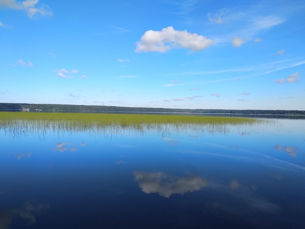 Photograph by Лариса Шишкова