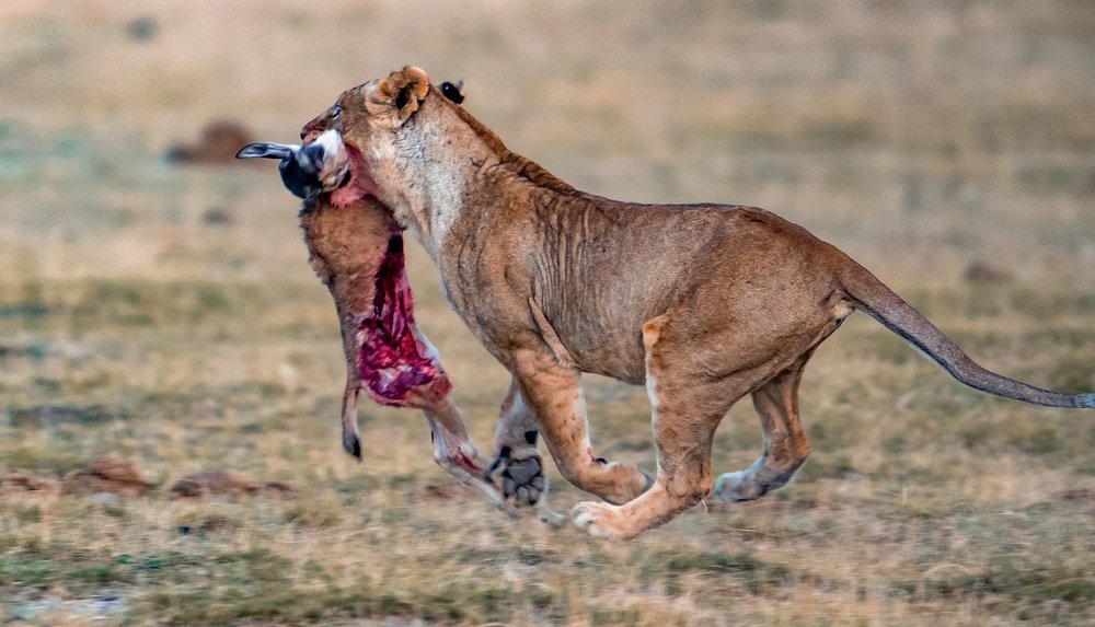 Photograph by Nitin Baste