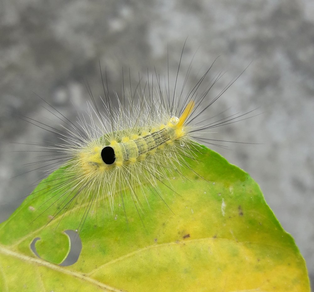 Nature and its beauty.