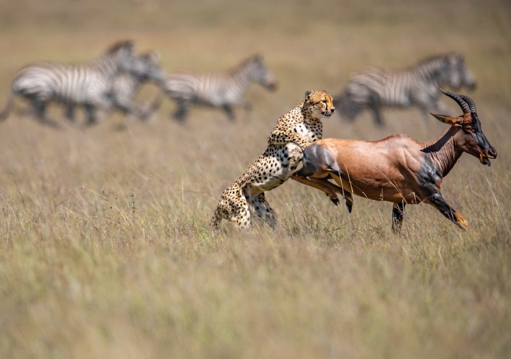 Photograph by Nitin Baste