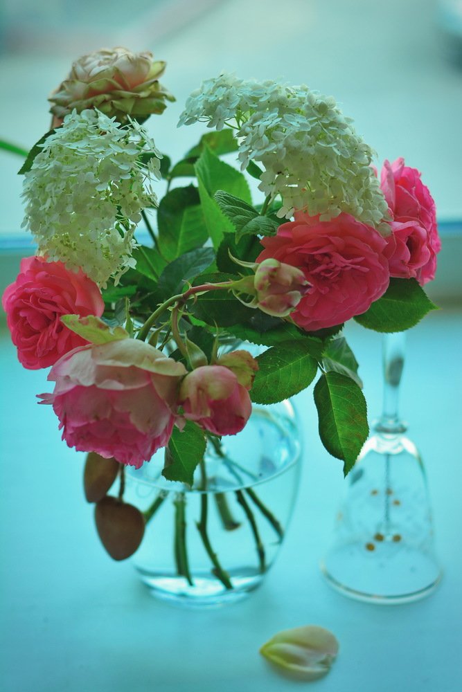 Photograph by Мария Вербицкая