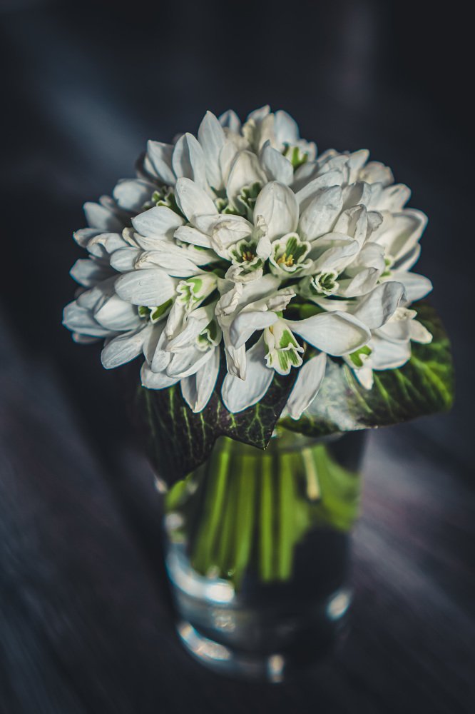 Photograph by Ксения Леонова