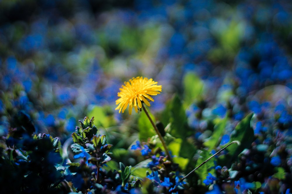 Фотография автора OKSANA