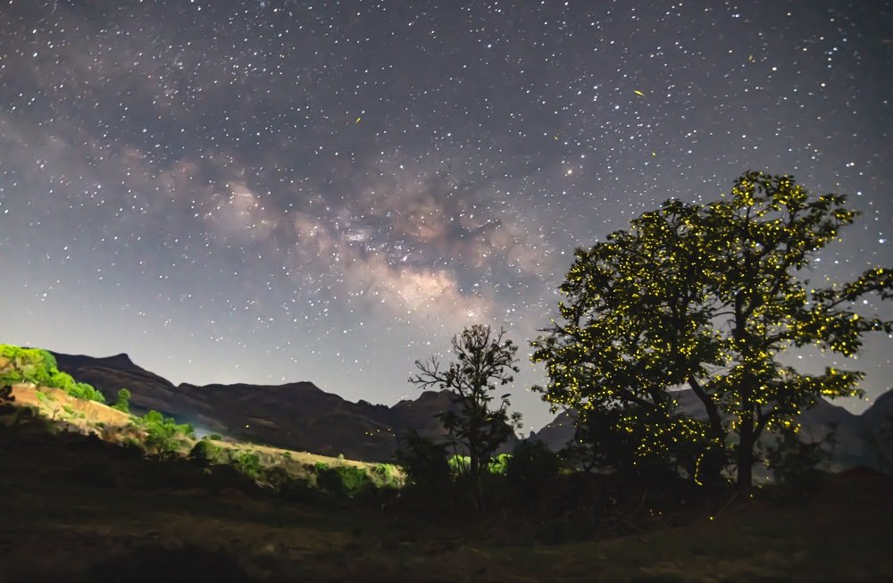 Photograph by Nitin Baste