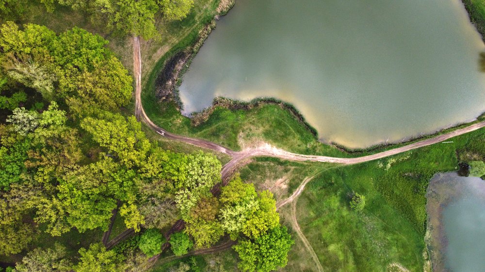 Фотография автора ТАРАСОВ ЕВГЕНИЙ