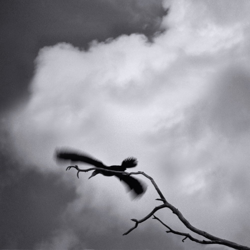 Photograph by Alex Greenberg